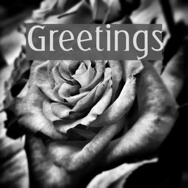 Greetings Font examples