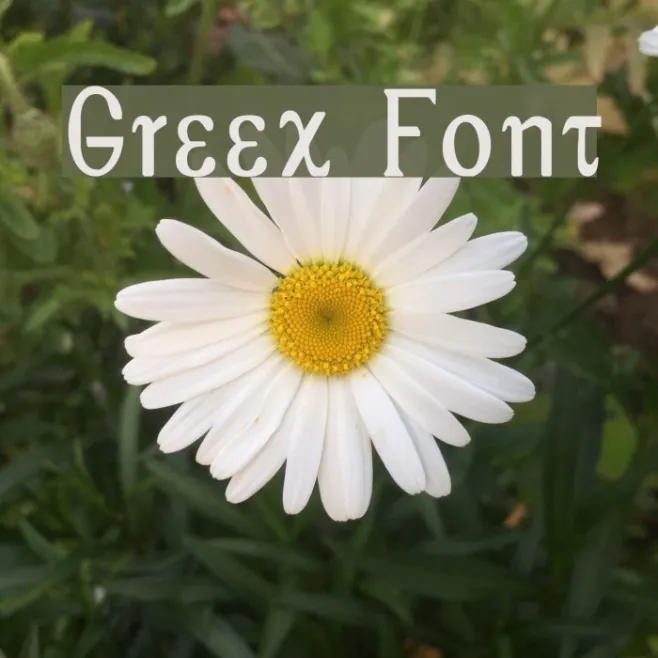 Greex Example 2
