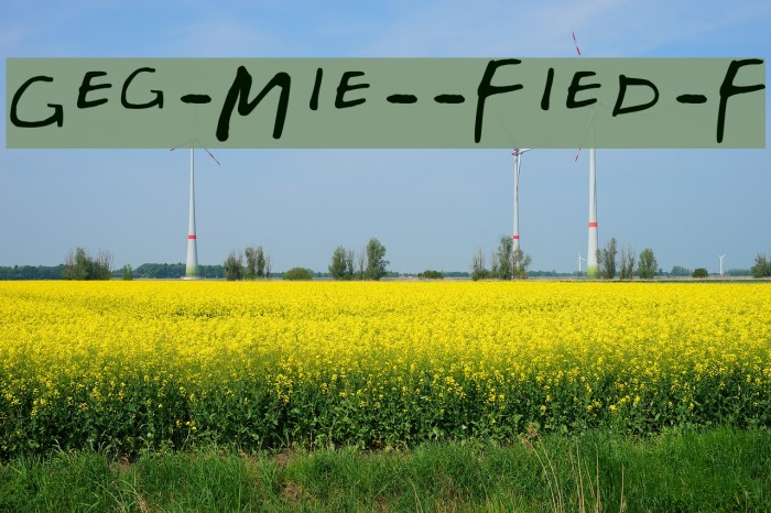 Gregor-Miller-s-Friends-Font Font examples