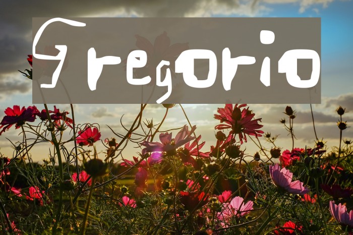 Gregorio Example 3