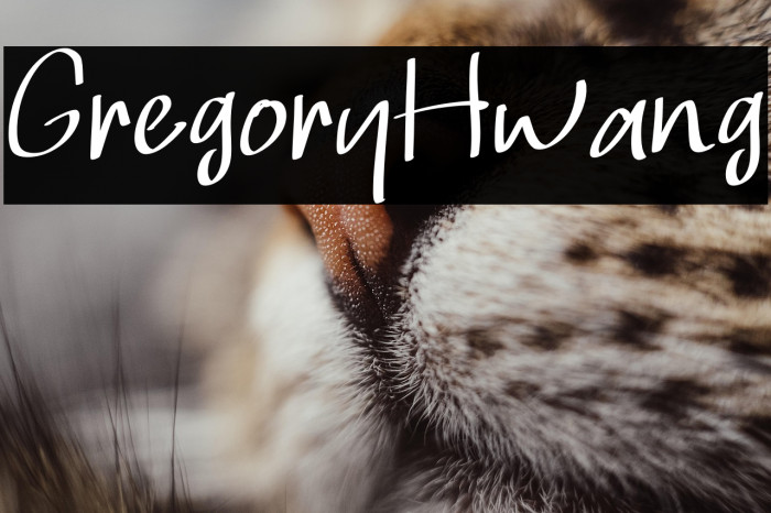 Gregory Hwang Example 3