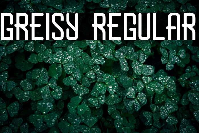 Greisy Regular Example 1