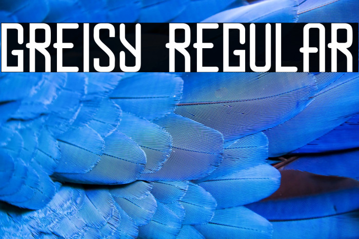 Greisy Regular Example 3