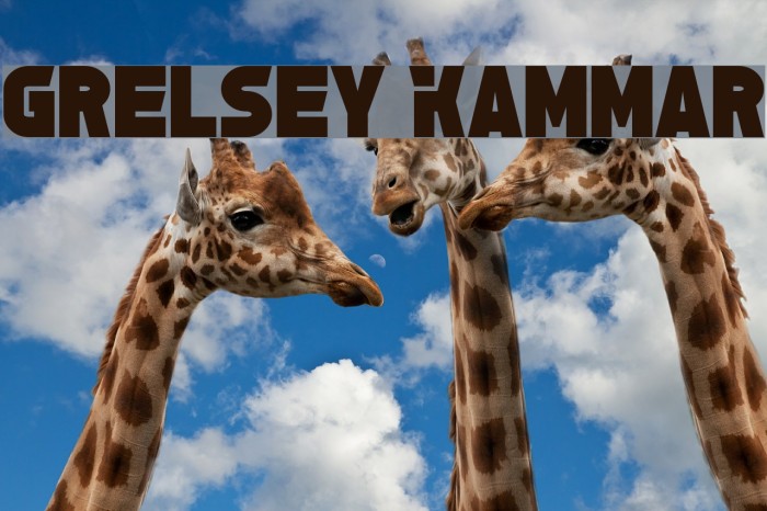 Grelsey Kammar Font examples