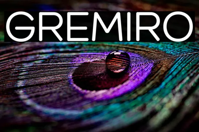 Gremiro Example 1