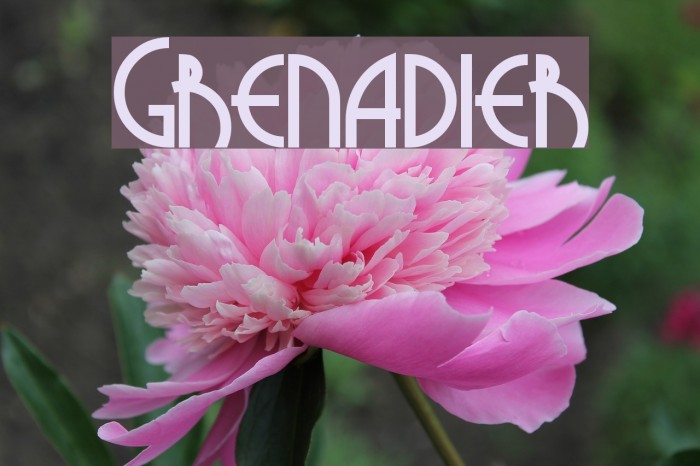 Grenadier Font examples