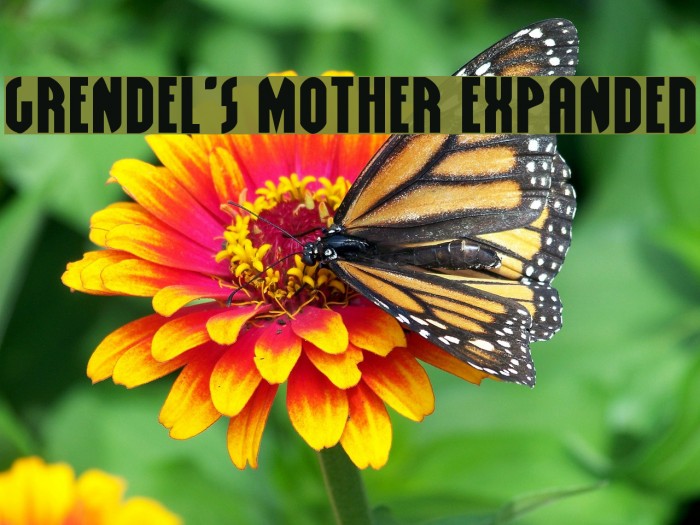 Grendel's Mother Expanded Example 1