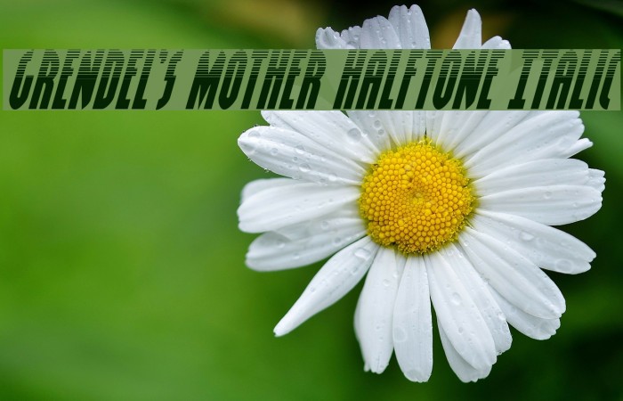 Grendel's Mother Halftone Italic Font examples