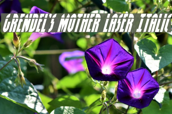 Grendel's Mother Laser Italic Example 1