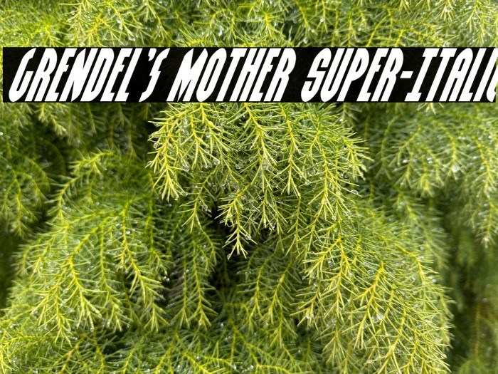 Grendel's Mother Super-Italic Example 3