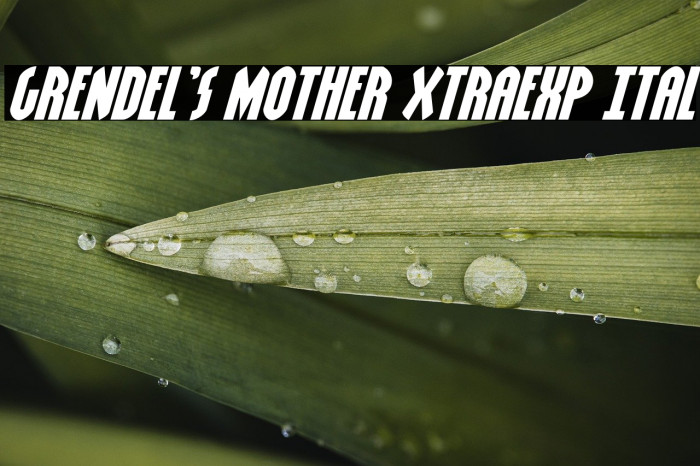Grendel's Mother XtraExp Ital Example 2