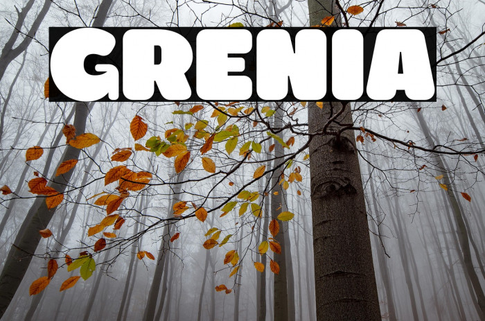 Grenia Example 1