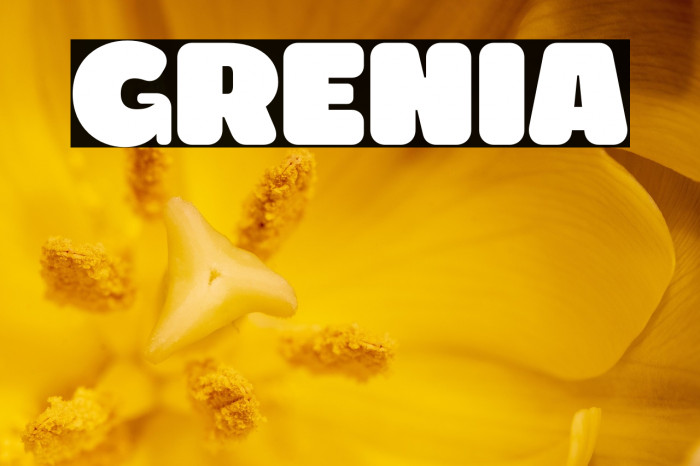 Grenia Example 2