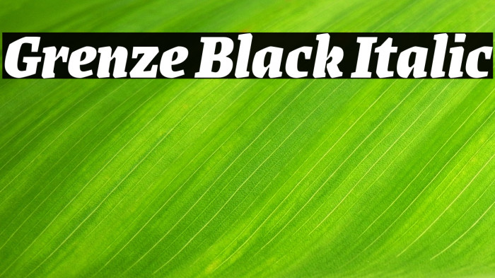 Grenze Black Italic Font examples