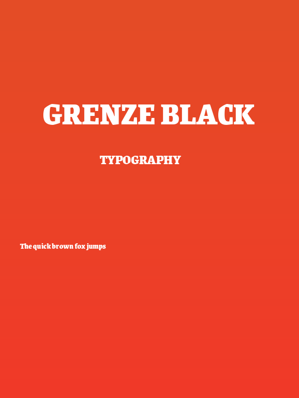 Grenze Black Poster