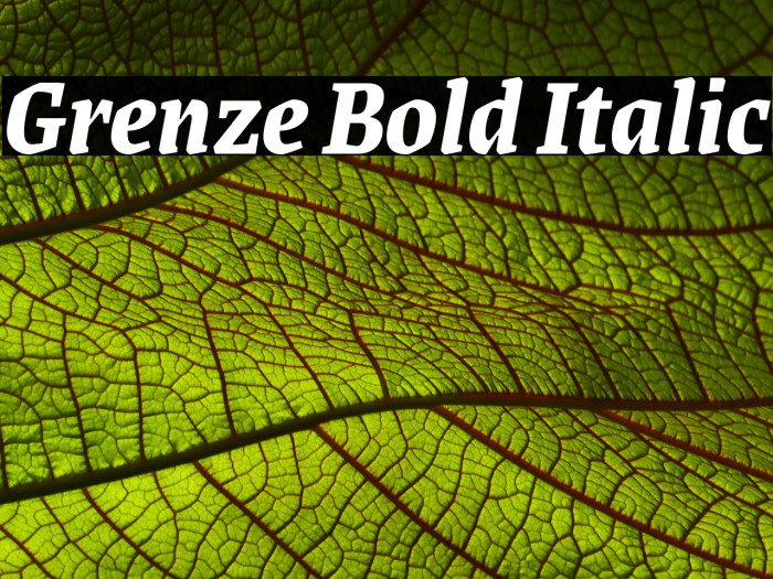 Grenze Bold Italic Font examples