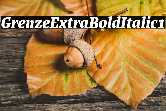 Grenze ExtraBold Italic1 Example 1