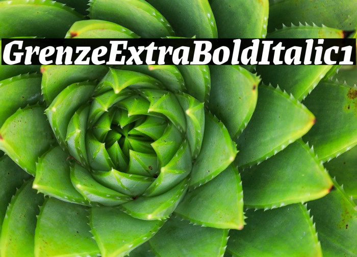 Grenze ExtraBold Italic1 Example 3