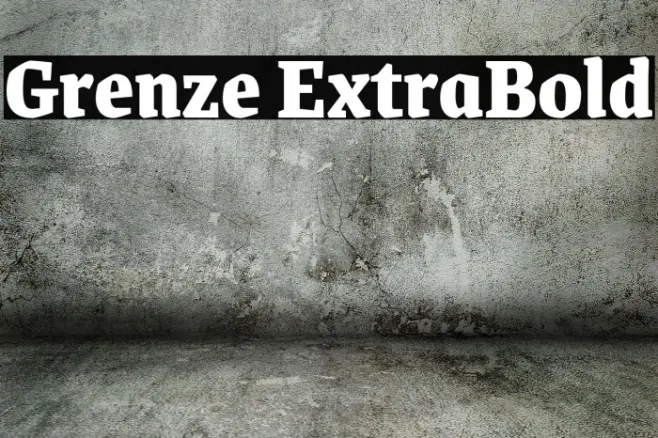 Grenze ExtraBold Example 1