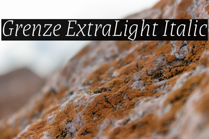 Grenze ExtraLight Italic Example 1