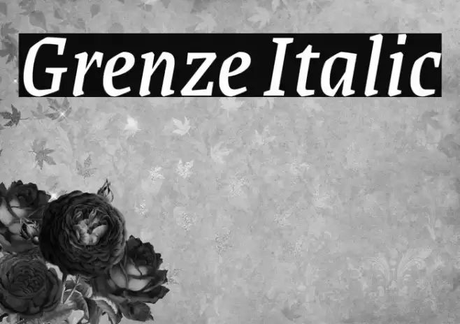 Grenze Italic Font examples