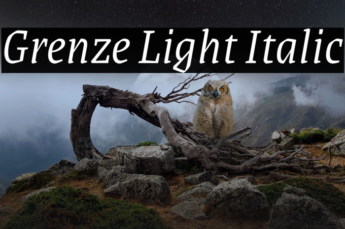 Grenze Light Italic Font examples
