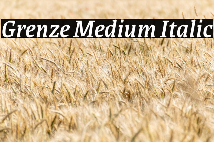 Grenze Medium Italic Font examples