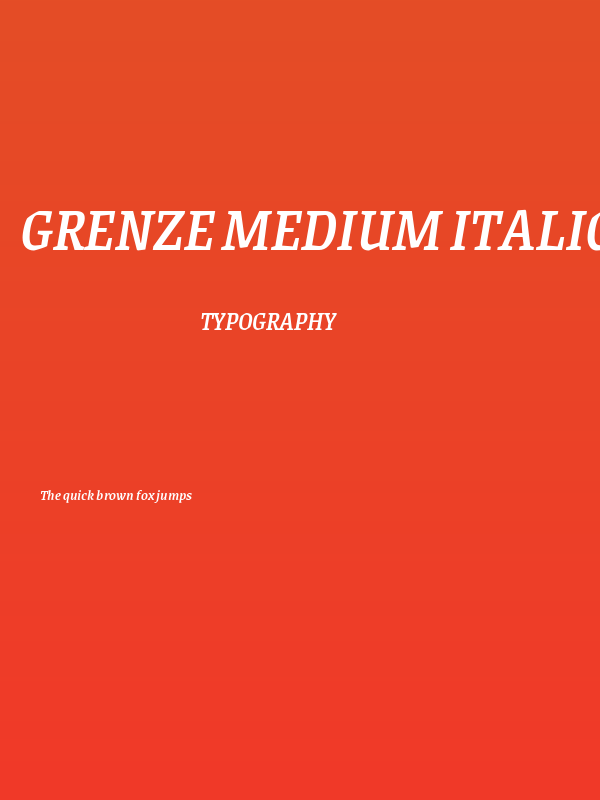 Grenze Medium Italic Poster