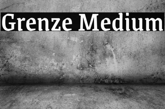 Grenze Medium Font examples