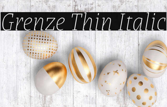 Grenze Thin Italic Font examples