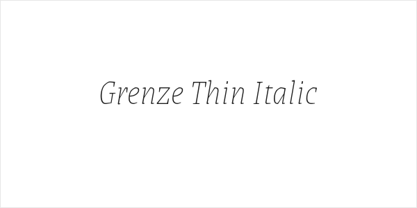 Grenze Thin Italic Logo