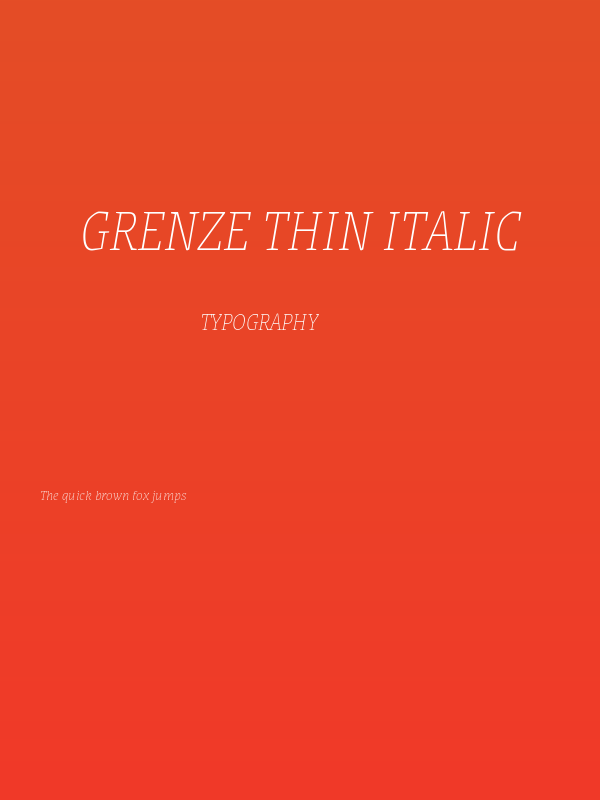 Grenze Thin Italic Poster