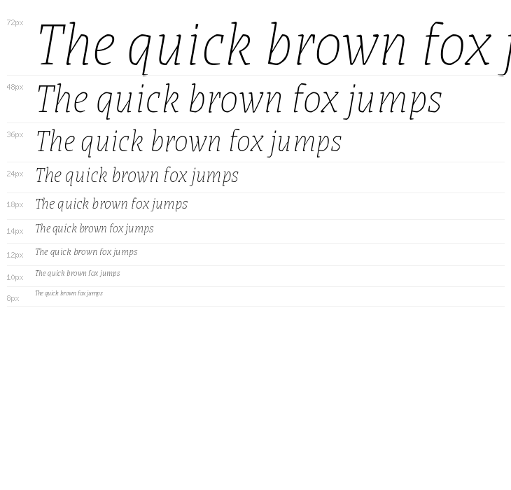 Grenze Thin Italic Waterfall