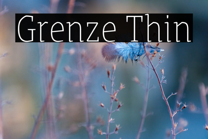Grenze Thin Font examples