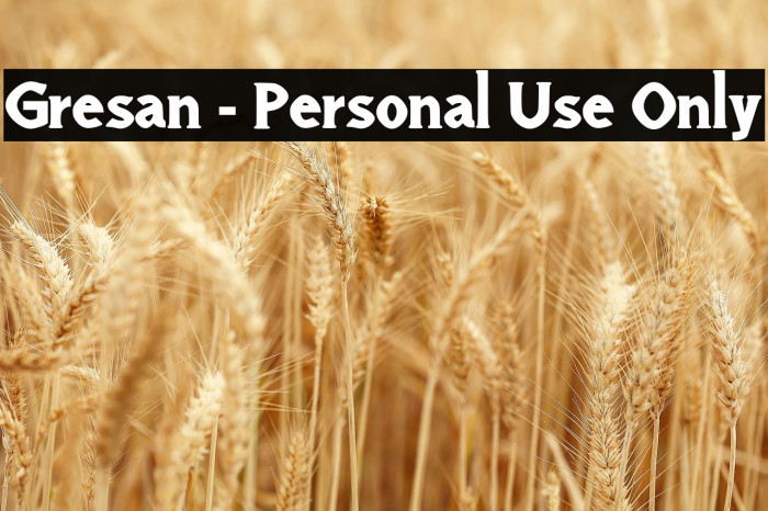 Gresan - Personal Use Only Example 1