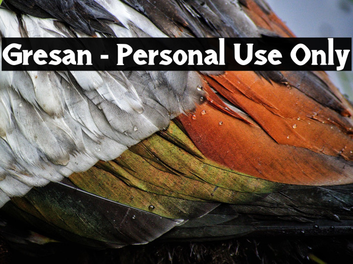 Gresan - Personal Use Only Example 2