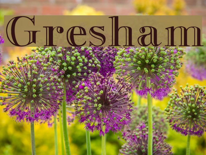 Gresham Font examples