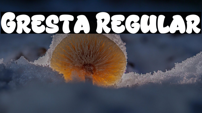 Gresta Regular Example 3