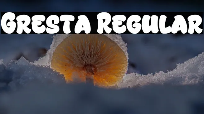 Gresta Regular Example 3