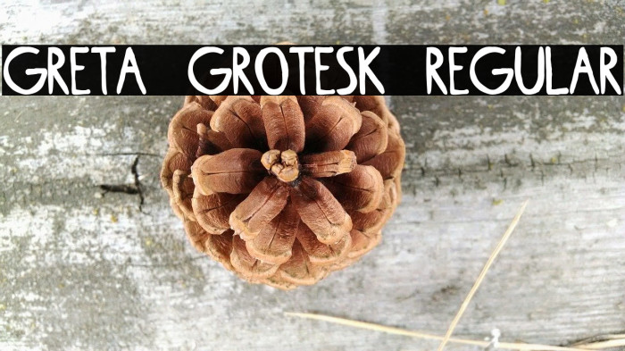 Greta Grotesk Regular Font examples