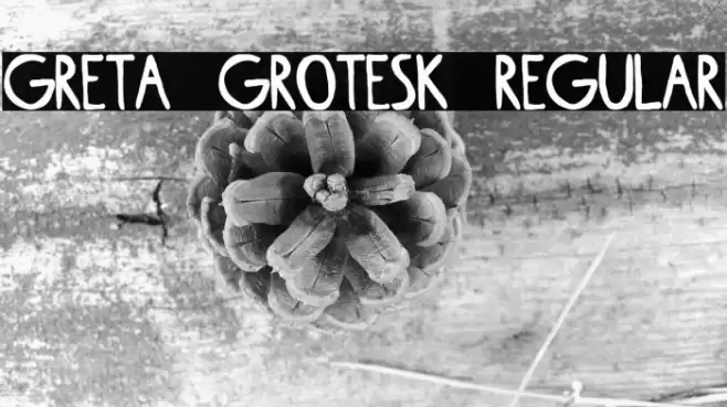 Greta Grotesk Regular Font examples