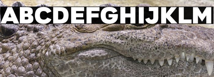 Gretaros Regular Example 3