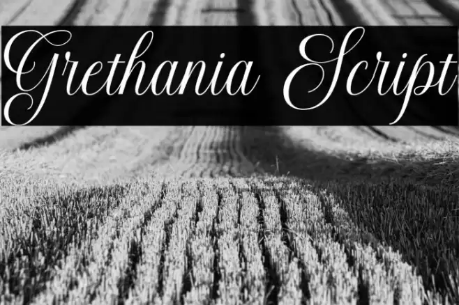 Grethania Script Font examples