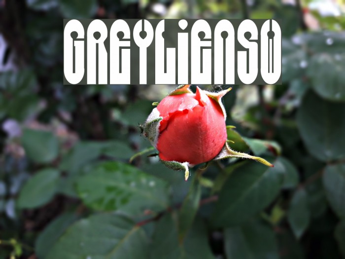 Grey[Alien]SW Example 2