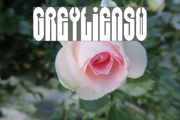 Grey[Alien]SW Example 3