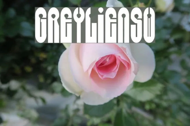 Grey[Alien]SW Example 3