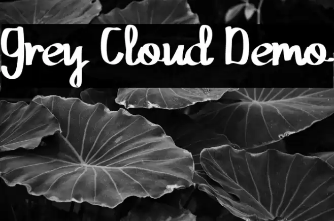 Grey Cloud Demo Font examples