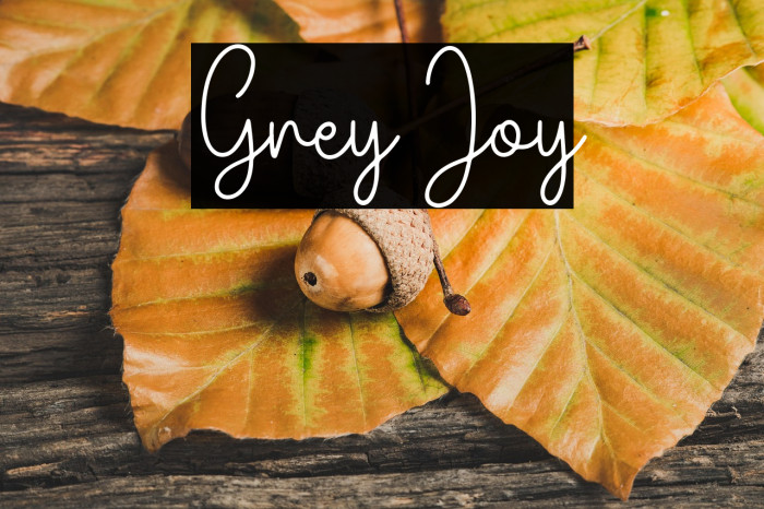 Grey Joy Example 3
