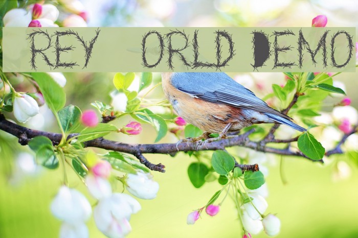 Grey World Demo Font examples