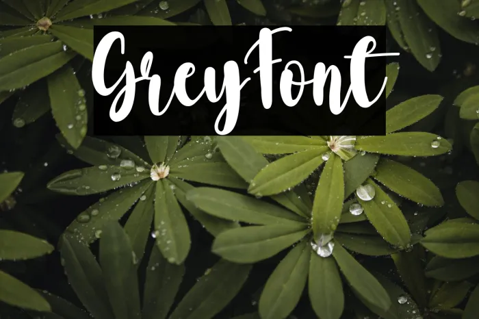 Grey Example 3
